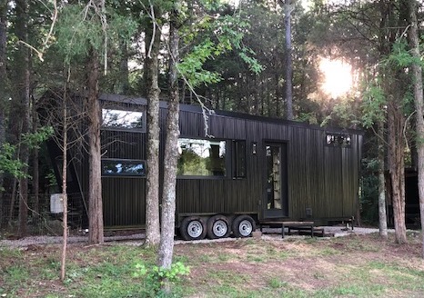 The Drake in the woods